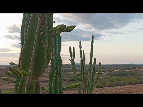 Fim de tarde em Quixeramobim ceara 