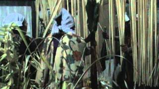 Download lagu Ngansak.VOB mp3