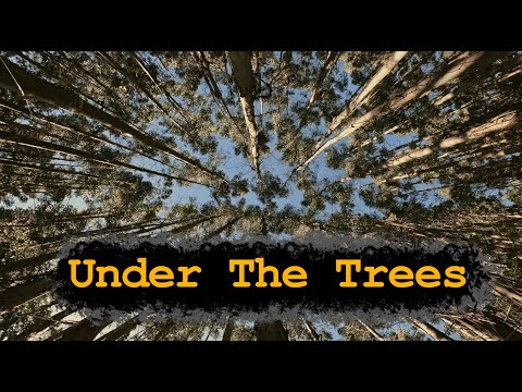 Mindless Paresthesia - Under The Trees