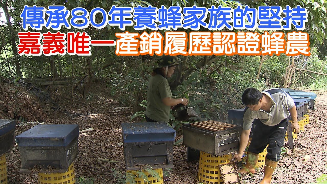 《一步一腳印》全國龍眼蜂蜜優等獎 夫妻互相扶持拼出一條路