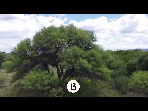 Villa de Las Rosas 12 hectáreas en venta - Servicios - Escritura inmediata