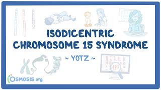 Isodicentric chromosome 15 syndrome (Year of the Zebra 2026)