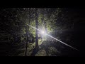 Flawed Mangoes The Beginning Live Visualizer