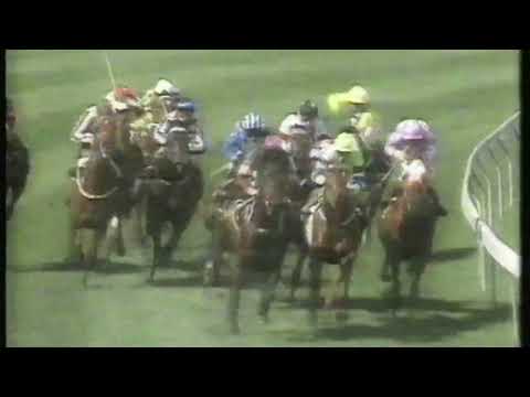 1988 WS Cox Plate