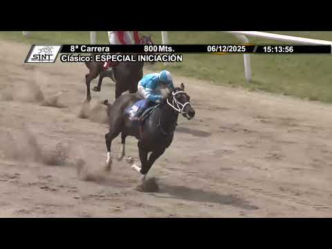 251206 c08 - POR ESO MISMO - SINT COLONIA