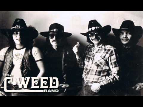 C-Weed Band - High and Dry