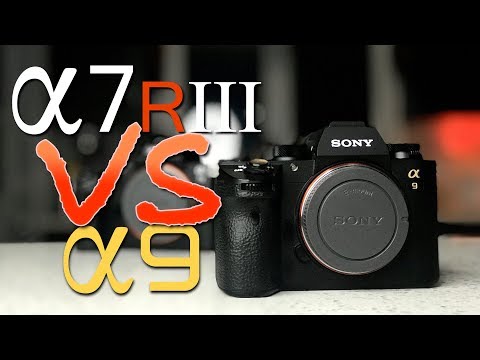 Does the a7Riii make the a9 Obsolete? (a7Riii vs a9)