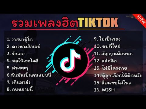 รวมเพลงฮิต TikTok + วาสนาผู้ใด + ดาวหางฮัลเลย์