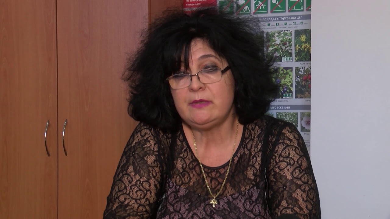 Тонове отпадъци в нерегламентирано сметище край с. Татарево