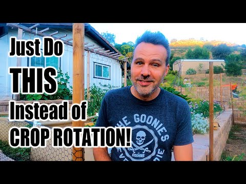 Do you NEED to Rotate Your Crops?