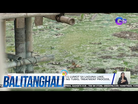 Madilaw at mabahong tubig, inirereklamo ng ilang Manila water customers sa Angono,… Balitanghali