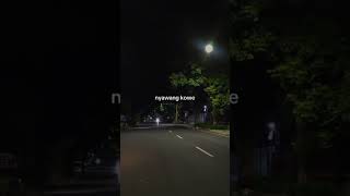 Download lagu Raiso Dadi siji X Wegah Kelangan | story WA durasi 30 detik mp3