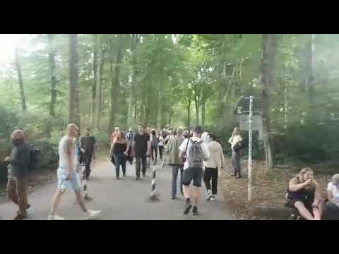 29. August 2020 in Berlin. Demo von Querdenken, Blick auf Menschenmassen auf der Straße des 17. Juni