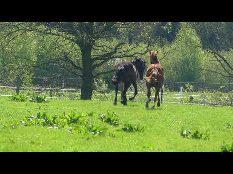 2018 04 23 2018 04 23 001 023