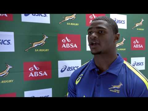 Rugby profile: Warrick Gelant