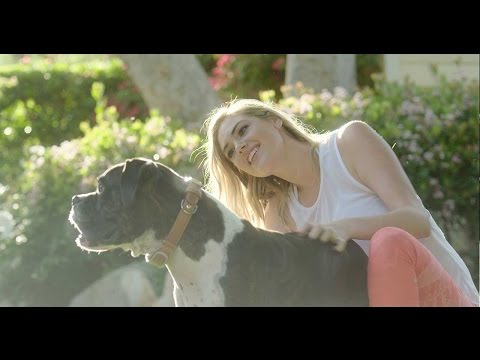 download lagu mp3 mp4 Wellness Link, download lagu Wellness Link gratis, unduh video klip Wellness Link