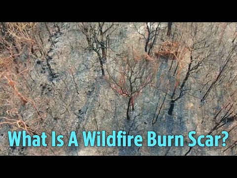 What Is A Wildfire Burn Scar?
