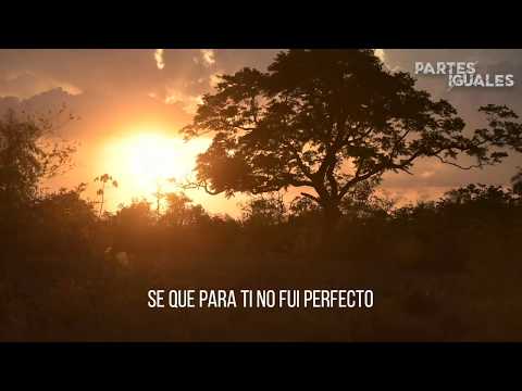 Partes Iguales - CATALINA (Lyric Video)