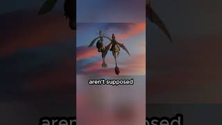 🐉 His pet dog EXPLODED and a dark dragon burst out