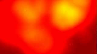 Suzi Quatro -- I'll Walk Through the Fire With You -- Lyrics