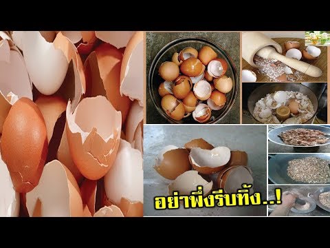 ผึ้งรักษาแสบของโรคสะเก็ดเงิน ในผิวหนังกลาก