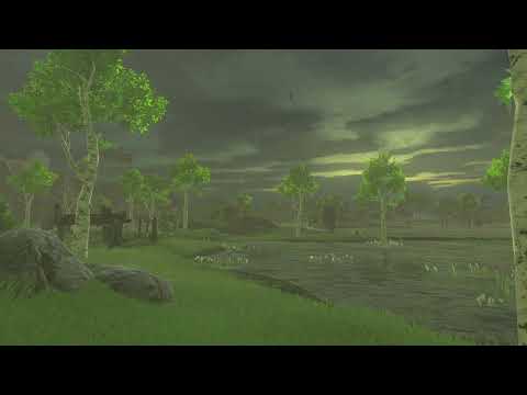 Tears of the kingdom Lanayru Wetlands Ambience