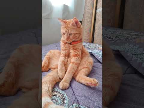 ۱۰ نوامبر ۲۰۲۴