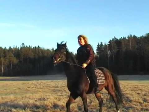 Tauski - Ole Sinä Minun (Official Music Video)