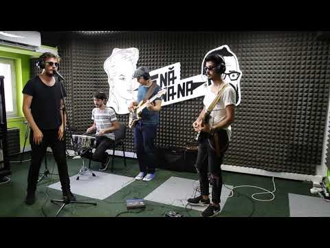 Les Elephants Bizarres - Something In Your Eyes - LIVE TANĂNANA @ TANĂNIMINEAȚA, 2018, June, 15th