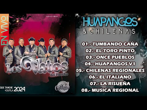 ✔ LOS VATOS DEL RANCHO - ♬ Mix 2024 - ❤ PUROS HUAPANGOS & CHILENAS [En Vivo - Taniche Ejutla]