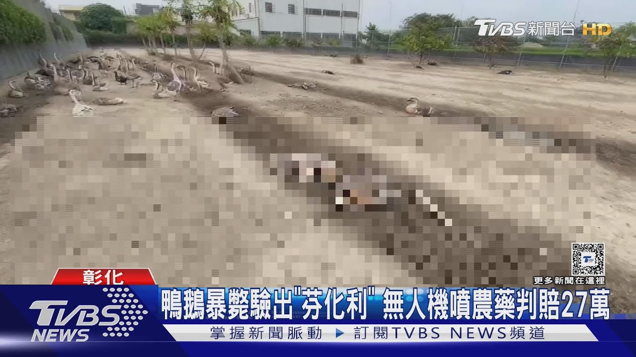 鴨鵝暴斃驗出「芬化利」　無人機噴農藥判賠27萬