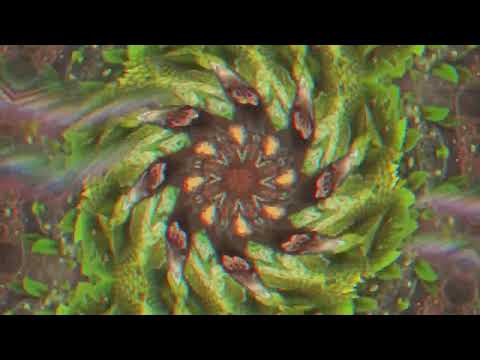 Starlab & Shivatree - In The Jungle