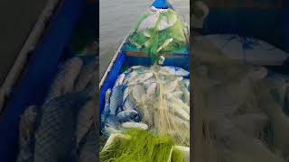 Download lagu #fishing #shorts #trending #instagram #all #youtubeshorts ๐๐  mp3 Download lagu #fishing #shorts #trending #instagram #all #youtubeshorts ๐๐  mp3