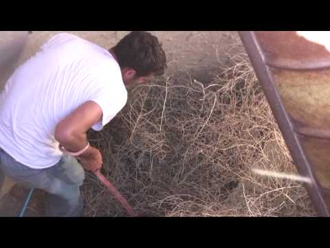 YouTube Video PLFZP0a78JE