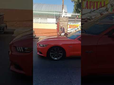 el Mustang de San Pedro