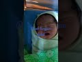 Pecah Tangisan Dedek Tambah Kebahagiaan Di Keluarga Kecil Kita Baby Kece Short Youtuber
