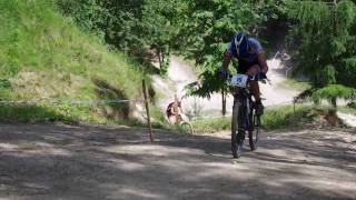 preview picture of video 'UNIQA TORO MTB CUP 2010 - Urzędów, 06.06.2010 - Awesome MTB XC montage!'