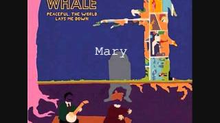 Mary - Noah And The Whale