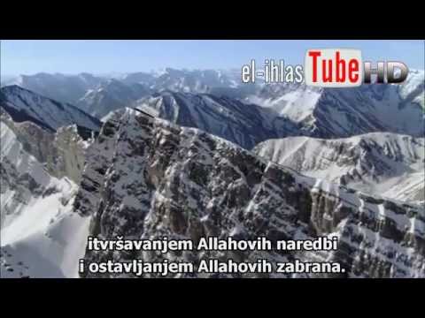 Poruka svima onima koji srca imaju - Šejh Muhamed Muhtar Eš-Šankiti