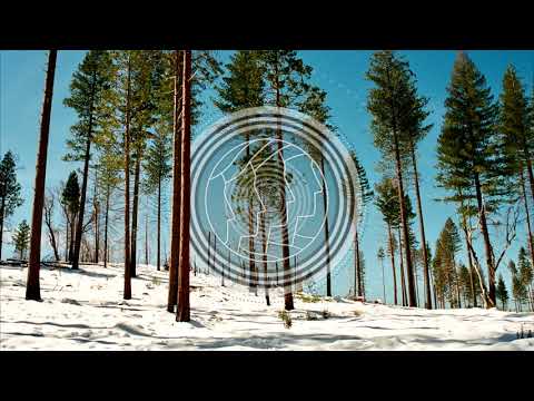 Didacte - Anatta [Oleeva Records]