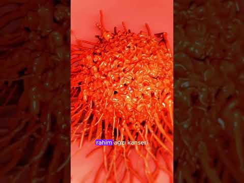 İmmünoterapi Hangi Kanser Türlerinde Etkilidir? | Prof.Dr. Tülay Akman