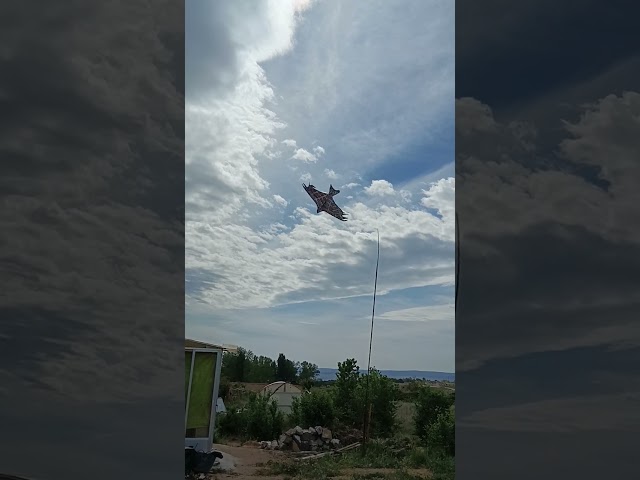 Vídeo relacionado con Laptony espantapájaros Cometa voladora Cultivos Protector de Aves halcón Cometa voladora para el jardín y la Granja Cometa sólo