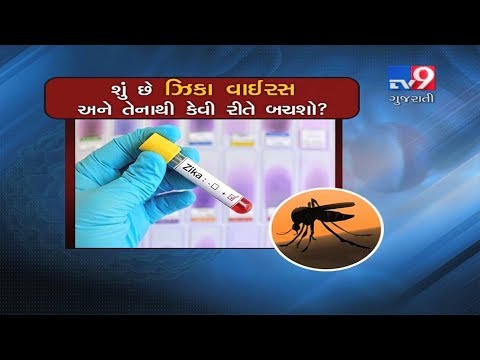 Zika Virus- Cause, Symptoms & Precautions -Tv9