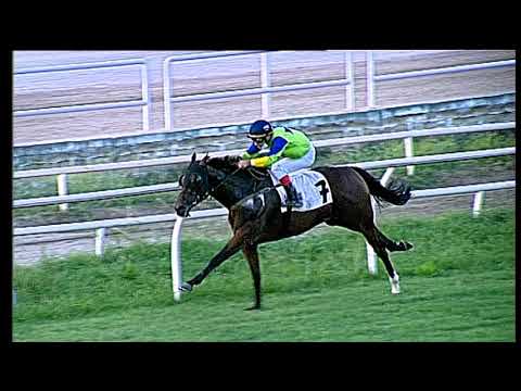 Galoppo 29/07/2020 - 4ª corsa