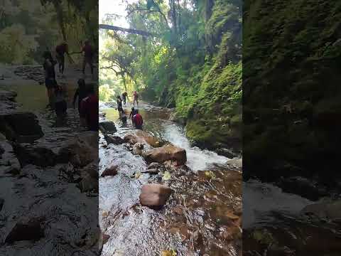 Catarata Río Tigre - Oxapampa, Pasco, Perú (Julio 2023) #shorts #adventure #peru