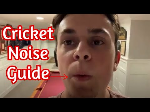 How To Make A Cricket Noise (With Just Your Mouth)