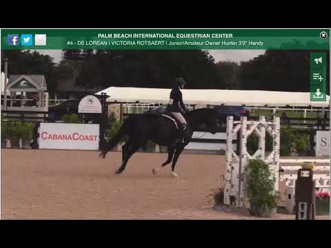 Delorean Junior Hunter 3’3” Handy ESP Fall Series