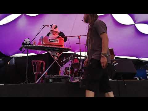 Panda-monium - Mayfly, Landed Festival 2019