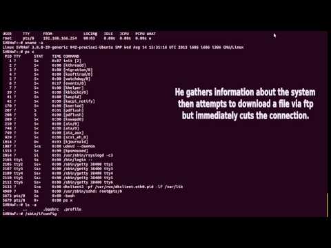 Hacker caught in SSH honeypot