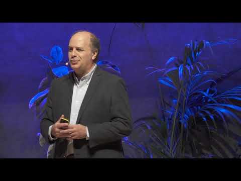 Cómo despertar la creatividad dentro de nosotros | Franc Ponti | TEDxBarcelona